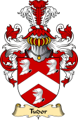 English Coat of Arms (v.23) for the family Tudor