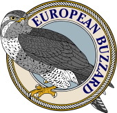 European Buzzard-M