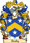 English or Welsh Family Coat of Arms (v.23) for Sealy (Ref Berry)
