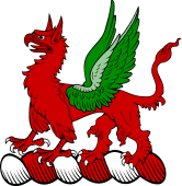 Family crest from Ireland for MacTiernan or Tiernan