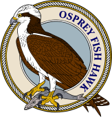 Osprey (Fish Hawk) with catch-M