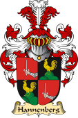 v.23 Coat of Family Arms from Germany for Hannenberg