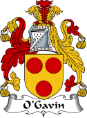 Irish Coat of Arms for O'Garvin or Gavan