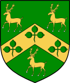 Irish Family Shield for Robinson or Robison