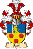 v.23 Coat of Family Arms from Germany for Saul