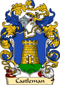 English or Welsh Family Coat of Arms (v.23) for Castleman (ref Berry)