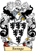 English or Welsh Family Coat of Arms (v.23) for Savage