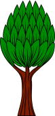 Savin Tree (Juniper or Cedar)