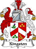 Irish Coat of Arms for Kingston