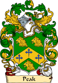 English or Welsh Family Coat of Arms (v.23) for Peak (or Peake 1668)