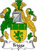 English Coat of Arms for the family Triggs or Trygg