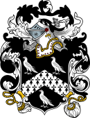 English or Welsh Coat of Arms for Jervis (or Jerves)