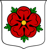 Italian Family Shield for Saluzzo