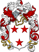 English or Welsh Coat of Arms for Arnet (ref Berry)