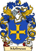 English or Welsh Family Coat of Arms (v.23) for Molineux