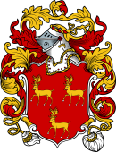 English or Welsh Coat of Arms for Gorton (Peterborough, Northamptonshire)