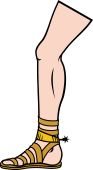 Leg with sandle and spur
