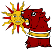 Lion Head-Sun in Its Splendour