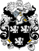 English or Welsh Coat of Arms for Newman