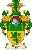 English Coat of Arms (v.23) for the family Triggs or Trygg