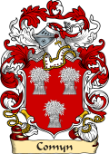English or Welsh Family Coat of Arms (v.23) for Comyn
