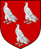 English Family Shield for Acherton