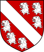 English Family Shield for Skull