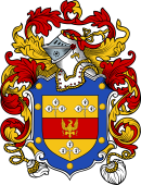 English or Welsh Coat of Arms for Champion (1565)