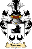 Scottish Family Coat of Arms (v.23) for Tennant