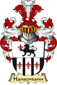 v.23 Coat of Family Arms from Germany for Hansemann