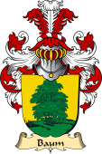 v.23 Coat of Family Arms from Germany for Baum