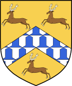 Irish Family Shield for Swift (Kilkenny)