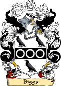 English or Welsh Family Coat of Arms (v.23) for Biggs