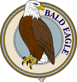 Birds of Prey Clipart image: Bald Eagle Perching-M