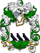 English or Welsh Coat of Arms for Ravenhill (Ref Berry)