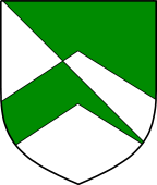 Irish Family Shield for Stokes (Dublin)
