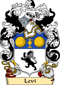 English or Welsh Family Coat of Arms (v.23) for Levi (Ref Berry)