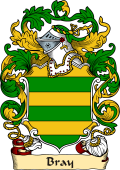 English or Welsh Family Coat of Arms (v.23) for Bray