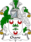 Scottish Coat of Arms for Chane