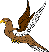 Falcon Volant