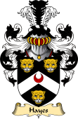 English Coat of Arms (v.23) for the family Hayes