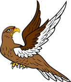 Falcon Volant  Reguardant