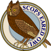 Scops-Eared Owl-M