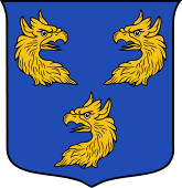 Italian Family Shield for Ferro