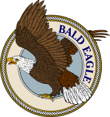 Birds of Prey Clipart image: Bald Eagle Rising-M