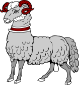 Ram Statant Collared