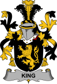 Irish Coat of Arms for King