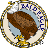 Birds of Prey Clipart image: Bald Eagle (Erect)-M