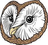 Birds of Prey Clipart image: Barn Owl Head (Yellow)