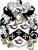 English or Welsh Coat of Arms for Burt
